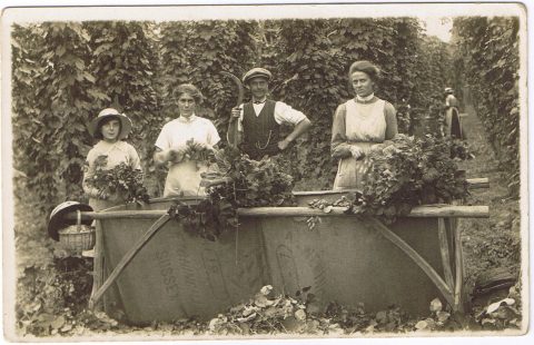 Hop picking, Burgham Farm 1923