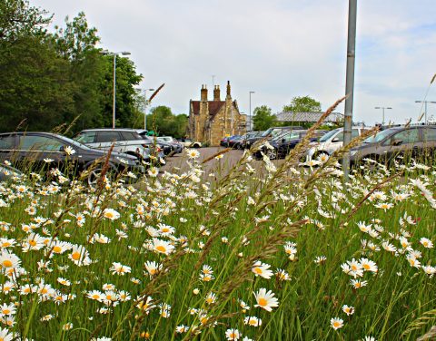 Etchingham Railway Station